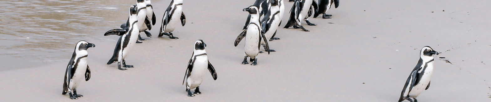leiderschap in leren min