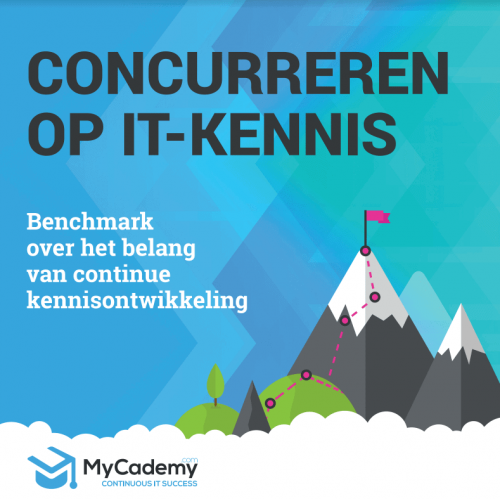 Concurreren op IT-kennis